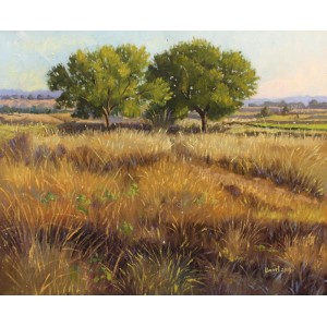 Tahir Bilal Ummi, 24 x 30 Inch, Oil on Canvas, Landscape Painting, AC-TBL-004